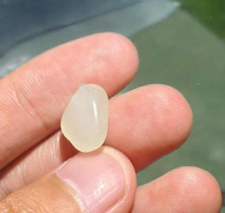 结构越细越值钱?冰底和田玉炒作陷阱曝光,中端市场被青海料血洗